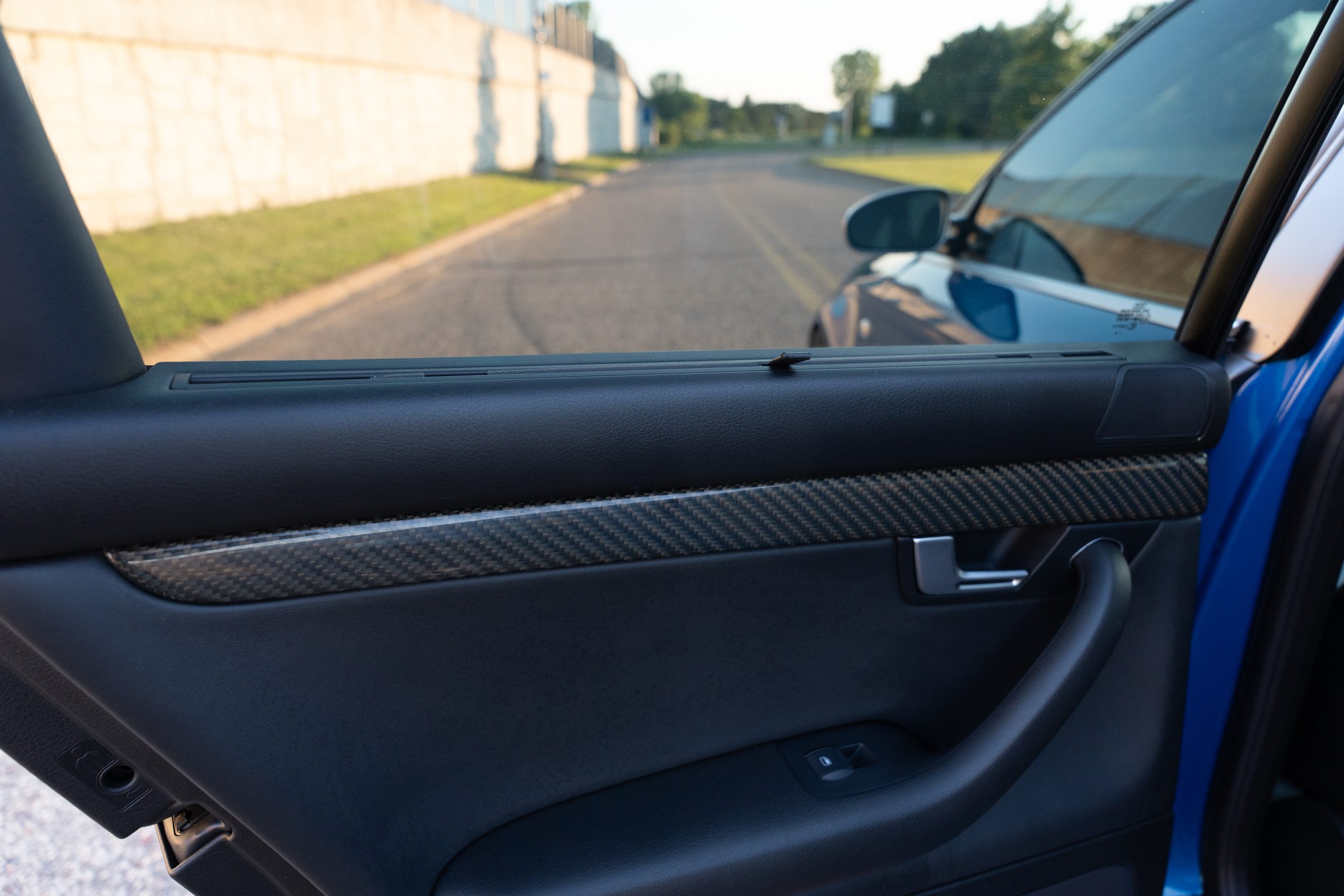Door panel carbon trim, view outward